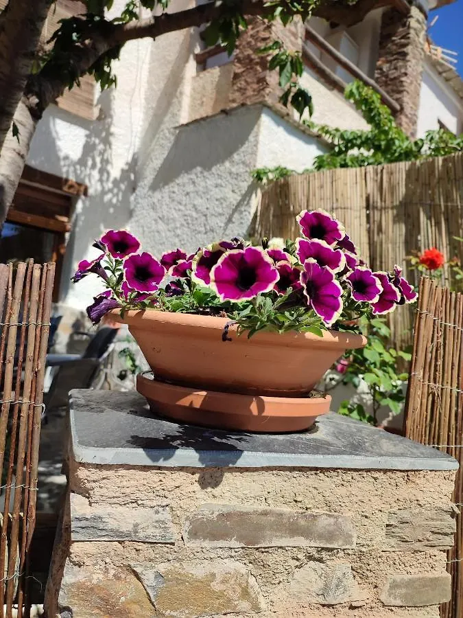 Holiday home Casa Alpujarrena Fina Numero 27 Bubion